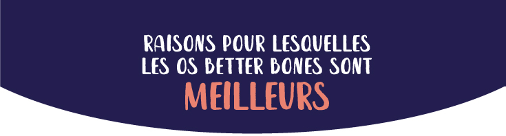 raisons pour lesquellesles os better bones sontmeilleurs