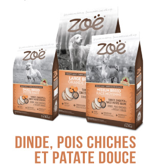 Dinde, pois chiches et patate douce