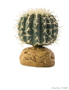 Plante désertique Exo Terra, cactus oursin