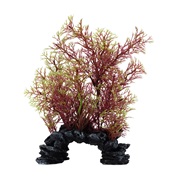 Vulpin rouge et vert Deco Scapes Aqualife Fluval, 15-20 cm (6-8 po)