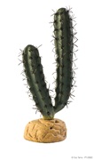 Plante désertique Exo Terra, cactus en doigts