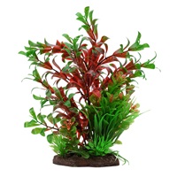 Ludwigia rouge et sagittaire naine Plant Scapes Aqualife Fluval, 20 cm (8 po)