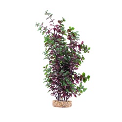 Bacopa rouge Plant Scapes Aqualife Fluval, 35,5 cm (14 po)