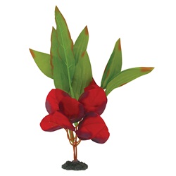 Plante-épée Naturals Marina en soie, rouge et vert, moyenne, 23-25,5 cm (9-10 po) 