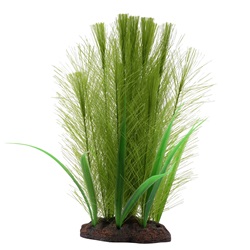 Myriophylle brésilien vert et vallisnérie Plant Scapes Aqualife Fluval, 20 cm (8 po)