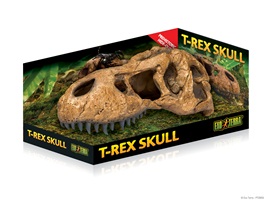 Crâne de tyrannosaure Exo Terra, grand