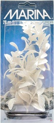 Ludwigia PearlScaper Marina, blanc nacré, moyenne, 20 cm (8 po)