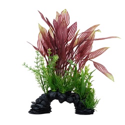 Plante de dentelle rouge Deco Scapes Aqualife Fluval, 25,5 cm (10 po)