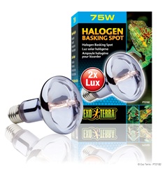 Ampoule halogène Exo Terra pour lézarder, 75 W
