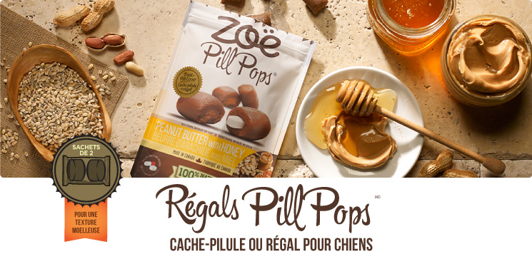 Zoe Pill Pops: Cache-Pilule ou Régal