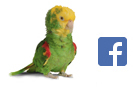 Consultez notre page Hagen Bird Care